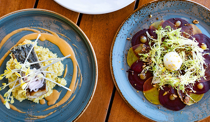 San Diego Restaurant Week at Oceana Coastal Kitchen